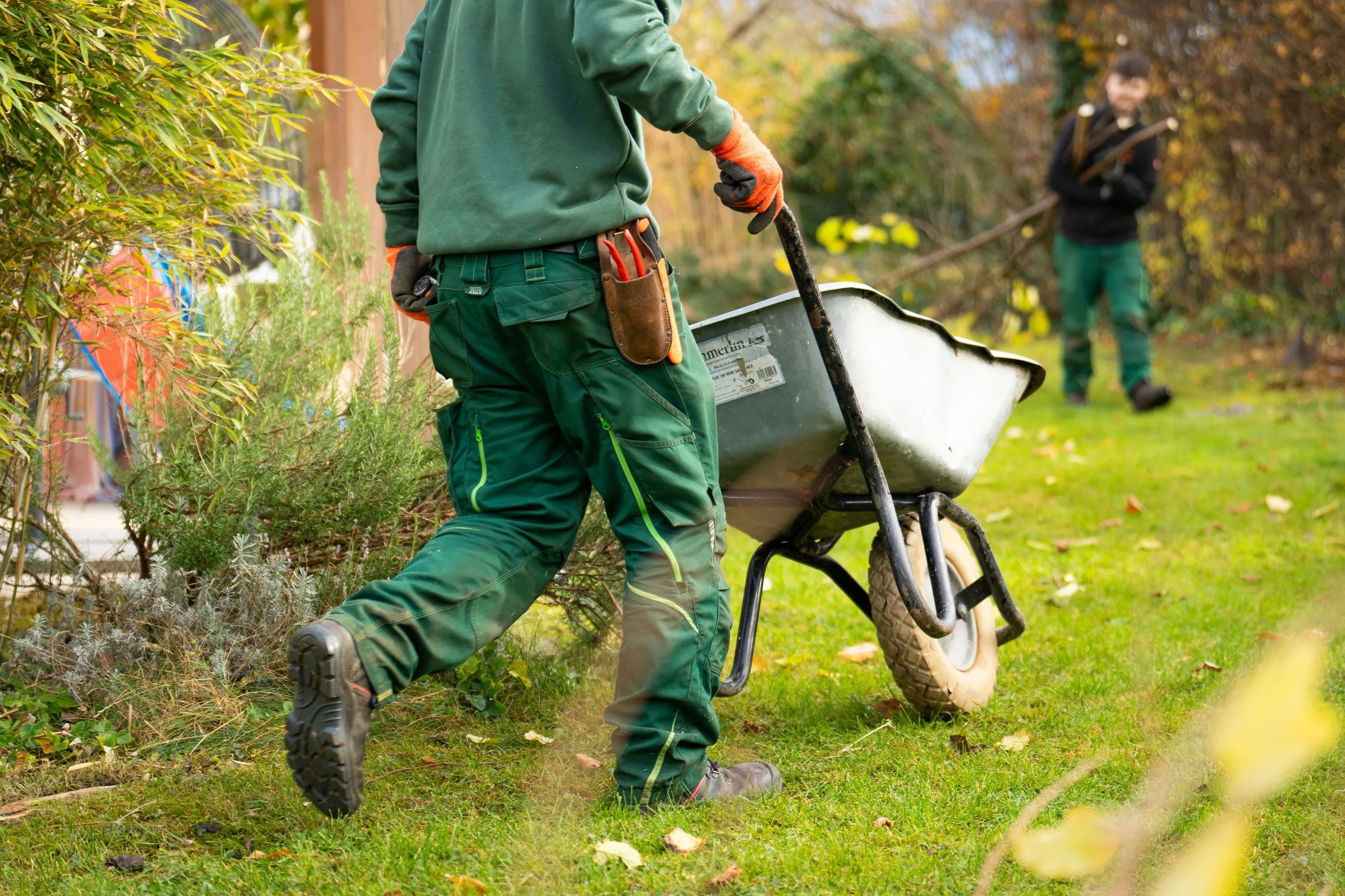 Entretien d’un jardin : taille et tonte